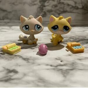 Littlest pet shop cat bundle